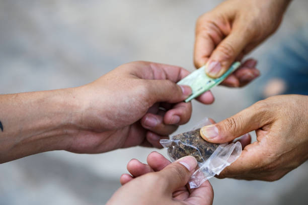Drug Trafficking Attorney In Florida-datos
