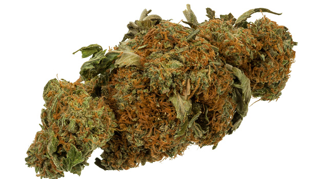 Does Marijuana Lower Testosterone Levels? - DATOS