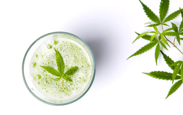 Shake Cannabis: A Milkshake Made With Weed - DATOS