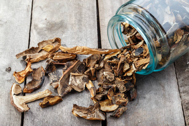 How to Dry Mushrooms- DATOS