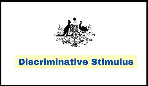 What is a Discriminative Stimulus