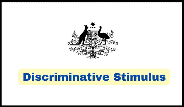 What is a Discriminative Stimulus