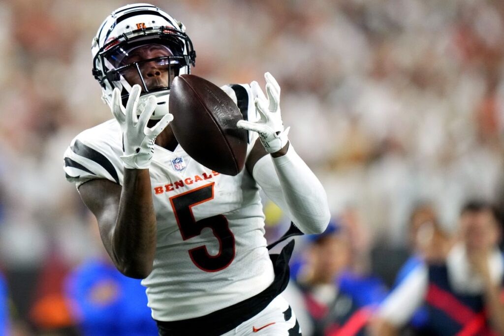 Tee Higgins